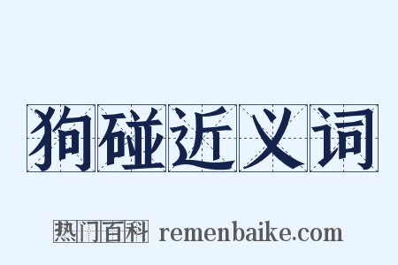 狗碰近义词是什么意思的图片